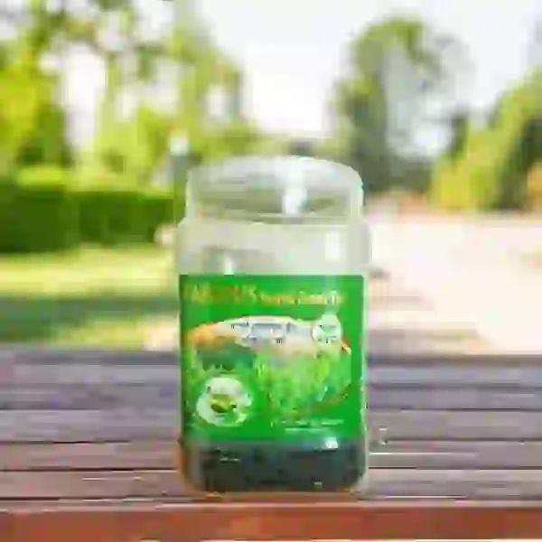 প্রিমিয়াম দার্জিলিং চা (৫০০গ্রাম)